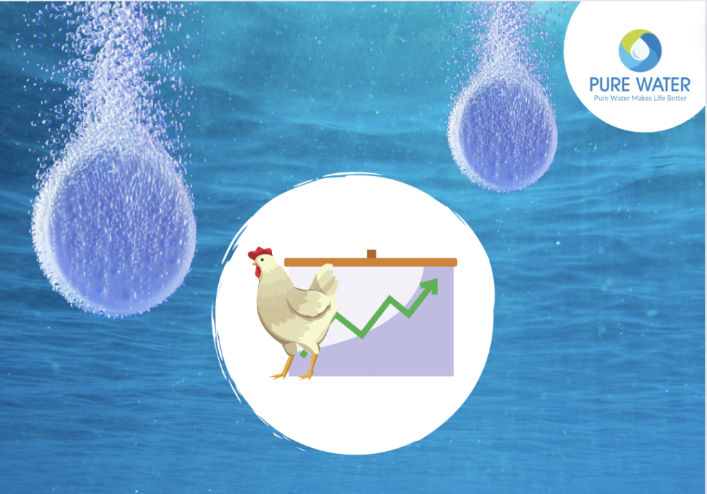 Chlorine Dioxide Tablets - Boosting Poultry Performance